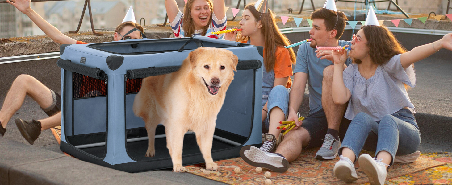 Транспортна переноска для собак та котів Petsfit, складана, для подорожей та авто, блакитна