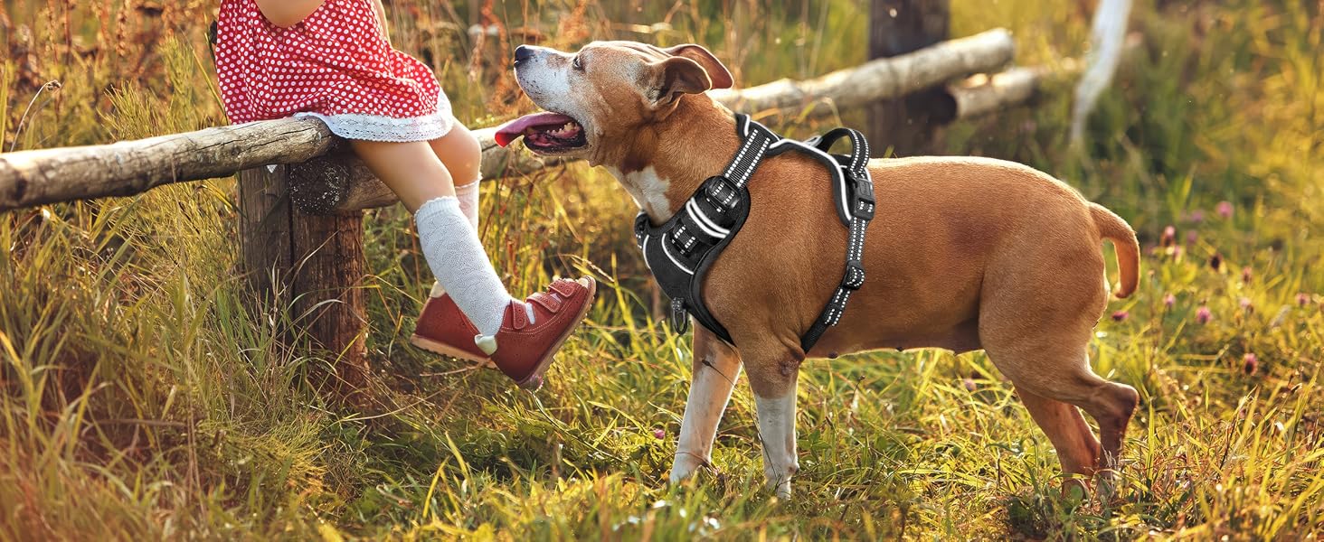 Шлейка для собак HEELE, No-Pull, для середніх собак, м'яка, дихаюча, регульована, світловідбиваюча, з м'яким ручним захопленням, чорна, розмір L