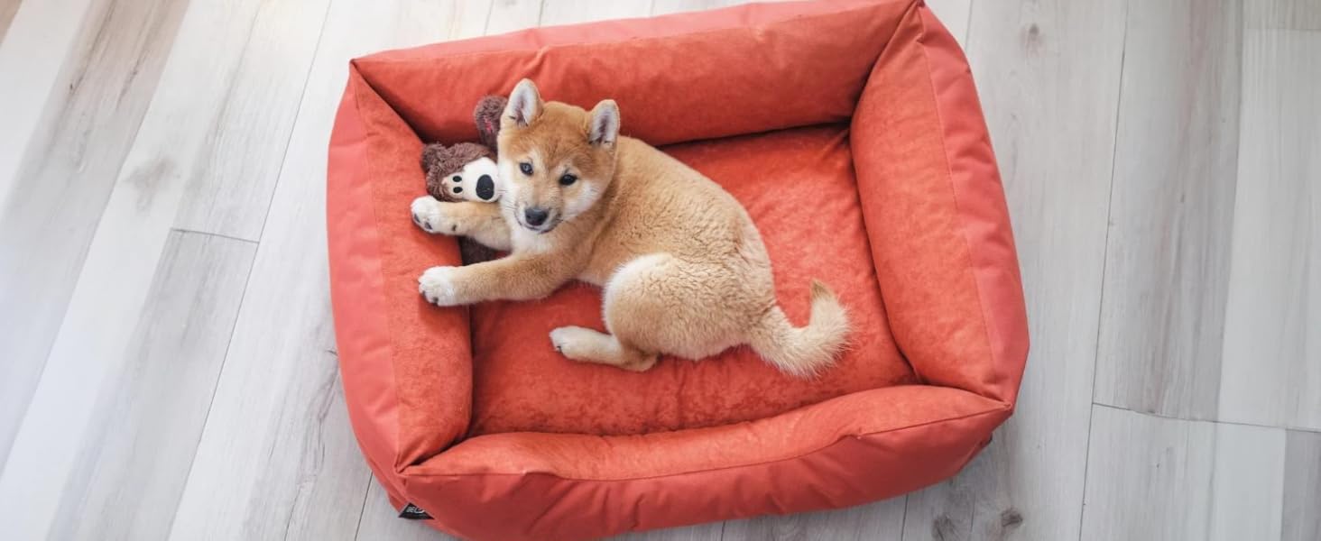 Лягушкове ліжко для собак BedDog Zara, м'яке ліжко-подушка для собак знімним та пральним чохлом, кошик для собак, собаче ліжко-диван, для маленьких собак, S L 70 x 55 x 18 см, світло-пісочний (світло-бежевий)