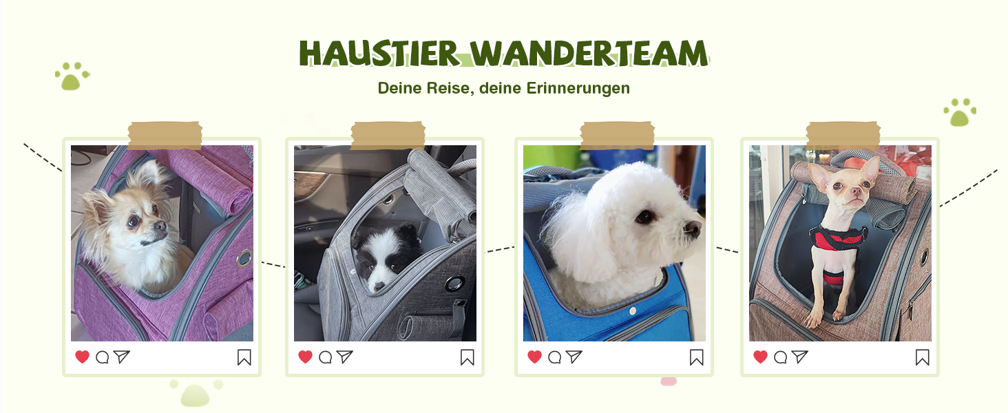 Рюкзак для котів та собак ALLSOPETS, складний, дихаючий, з сонцезахистом, для маленьких котів та собак, ідеальний для подорожей, кемпінгу та піших прогулянок (Беerenроже)