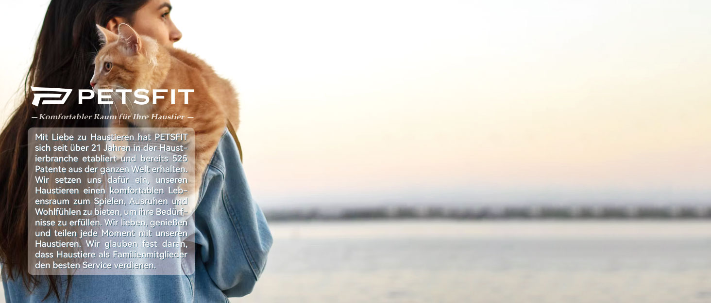 Транспортний бокс для котів та собак Petsfit - сірий, L+: 48,5x31x31 см, з м'яким килимком