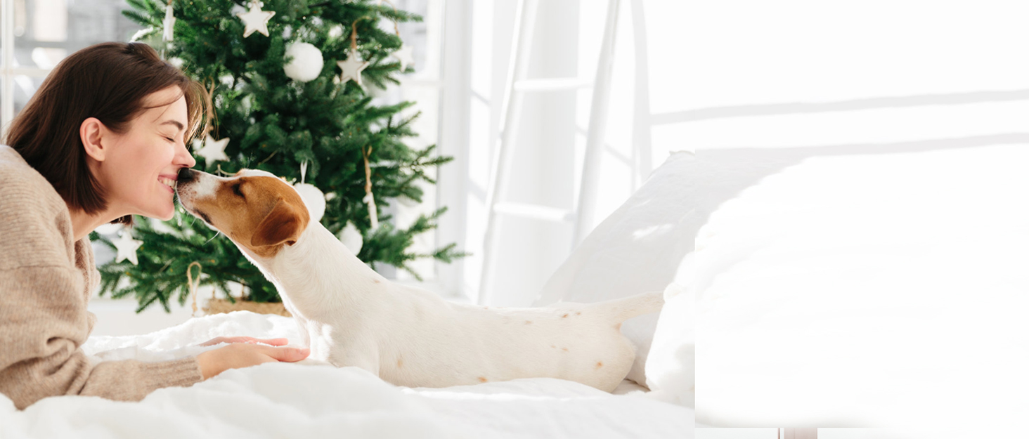 PETTOM Плед для собак та котів, водовідштовхуючий, м'який флісовий підстилку, 152 x 127 см (Сірий)