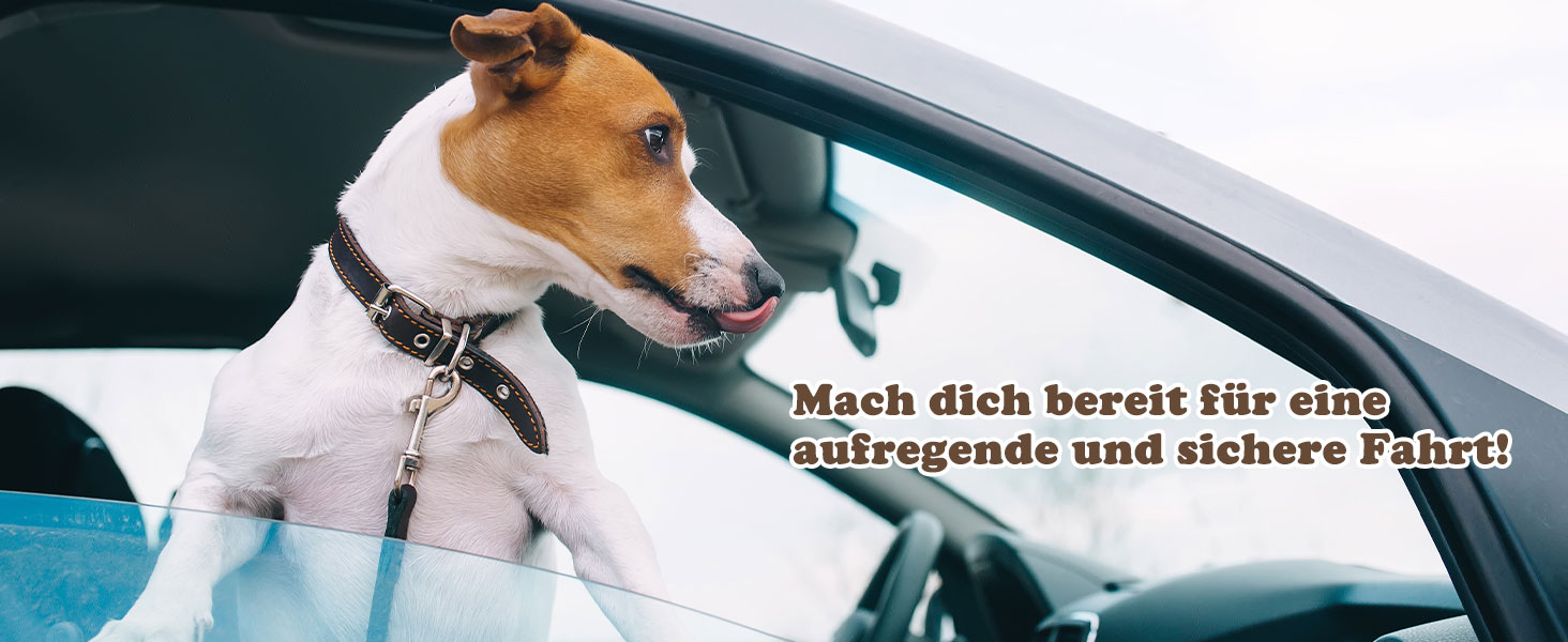 Автокрісло для собак iPetba - безпечне та зручне автокрісло для маленьких собак, захист від зіткнень, антиковзаюча поверхня, захист салону авто, знімне та миється, зелено-коричневе