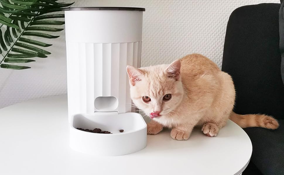 Автоматичний годівниця для котів Tierisch Smart з таймером, 3L, Dual-Power