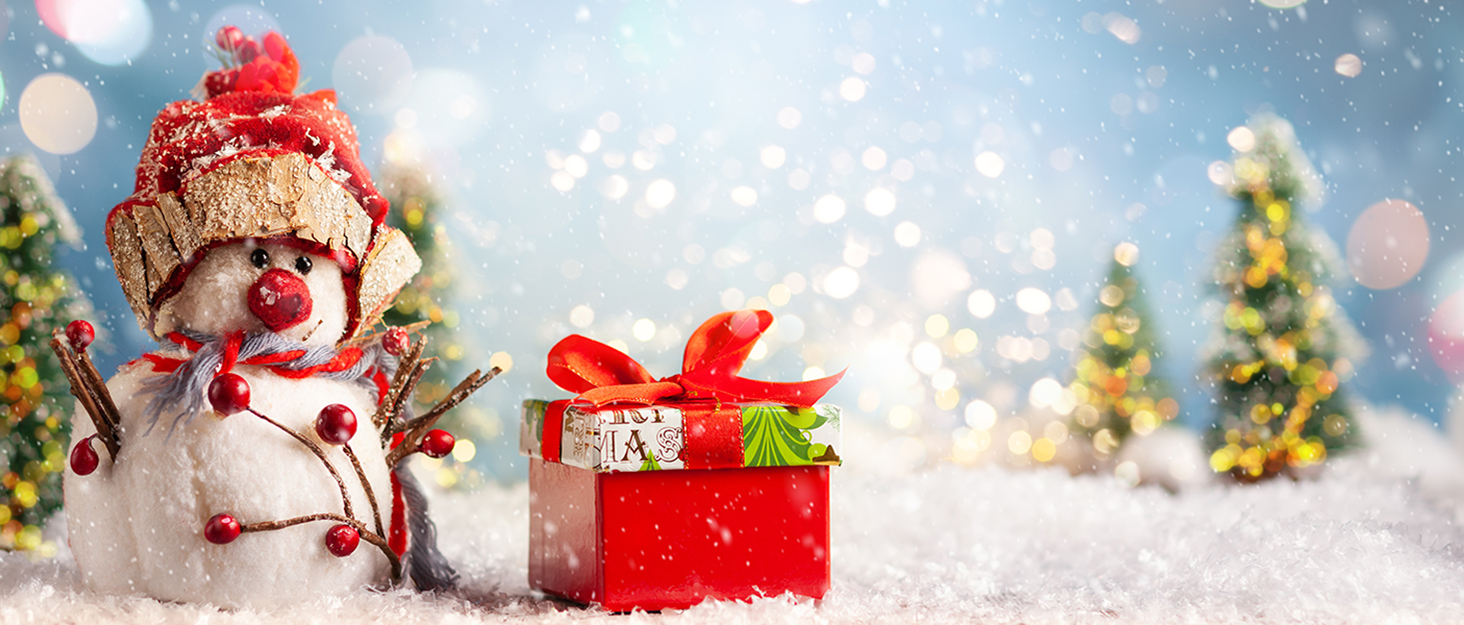 Тапочки домішки жіночі та чоловічі, м'які, плюшеві, ретро, теплі, зручні, з антиковзким покриттям, білий, Bär104, 36/37 EU