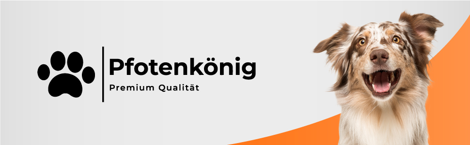 Сходинки для собак Pfotenkönig: легкі, скласні, для автомобіля (до 70 кг)