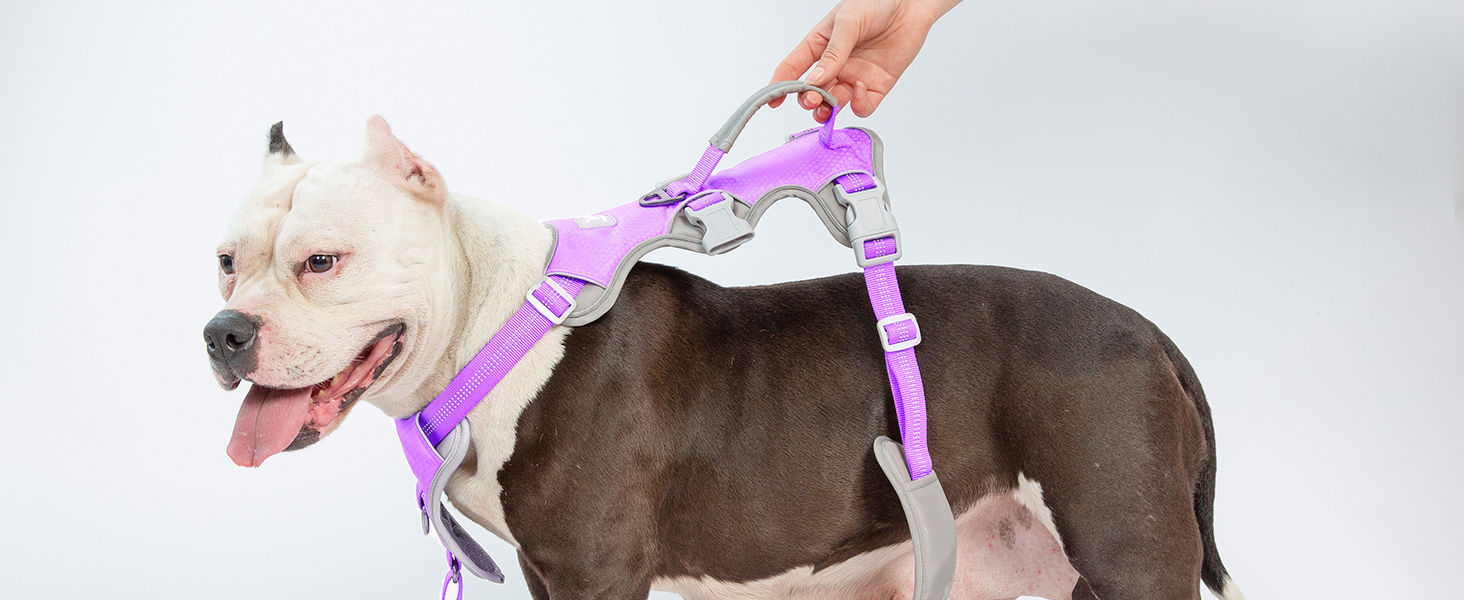 Нашийник для собак Huntboo, великих порід, анти-вислизання, світловідбиваючий, водонепроникний, регульований, для прогулянок та бігу (L, фіолетовий лаванда)