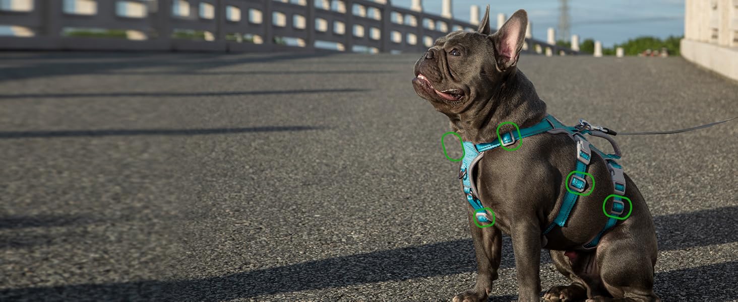 Шлейка безпеки для собак Huntboo, антизламна, зі світловідбиваючими елементами та м'якою ручкою, регульована жилетка для маленьких собак, для прогулянок та тренувань (S, Синій, X-Small, упаковка з 1)