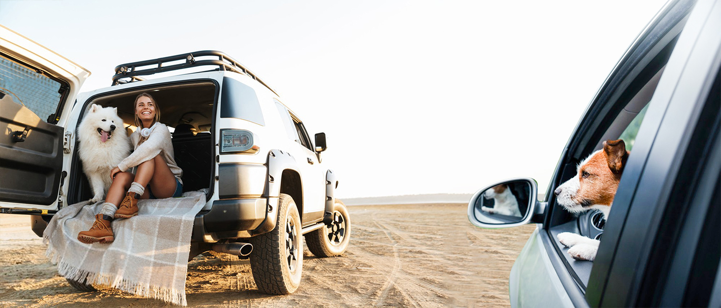 Рюкзак для тварин Galatée з колесами, візок для домашніх тварин, сумка для подорожей з собакою з знімними колесами, рюкзак для собак з вентиляційними вікнами з сітки (зелений)