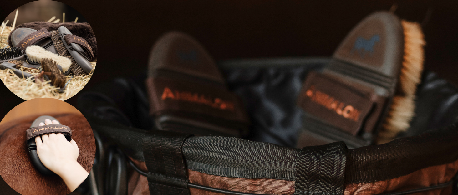 Штрикач для собак Kurzhaar Animalon: допомога при линянні | Штрикач для короткошерстих собак | Інноваційна щітка для дбайливого догляду за шерстю (маленький, синій) Синій, маленький