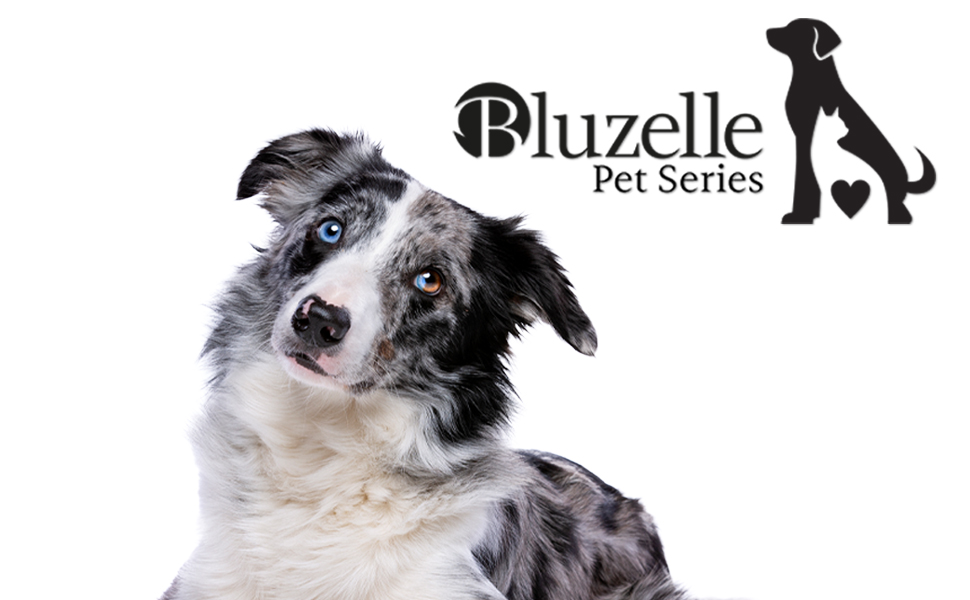 Рулетка для собак середніх та великих (до 50 кг) з відбиваючими смугами, надійний гальмо, поворотний карабін, нейлоновий ремінь, ергономічна ручка, розмір L