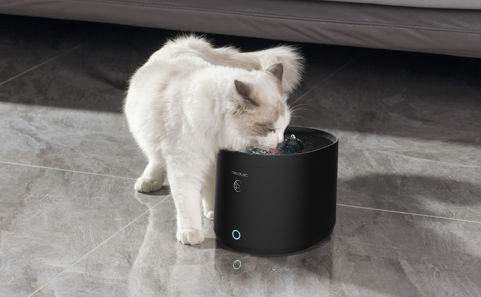 Автоматичний годівниця для домашніх тварин Cecotec Pumba 1600 Purrfect Meal - 1.6 л, 4 відділення, LED, таймер, запис голосу + фонтанчик для води 2.5 л