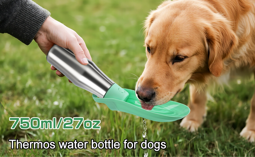 Водяна пляшка для собак на прогулянці: витривала, з нержавіючої сталі, 750 мл, з подвійними стінками, вакуумна ізоляція, не протікає