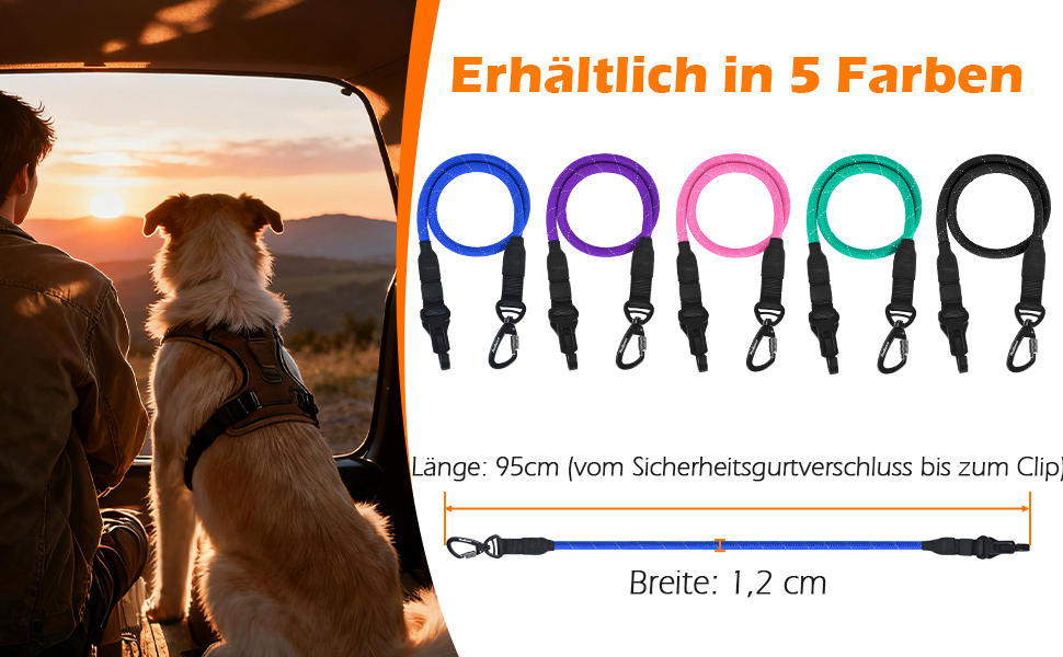 Автомобільний поводок-пояс для собак PetBonus: безпечний та надійний, для малих, середніх та великих собак (чорний)