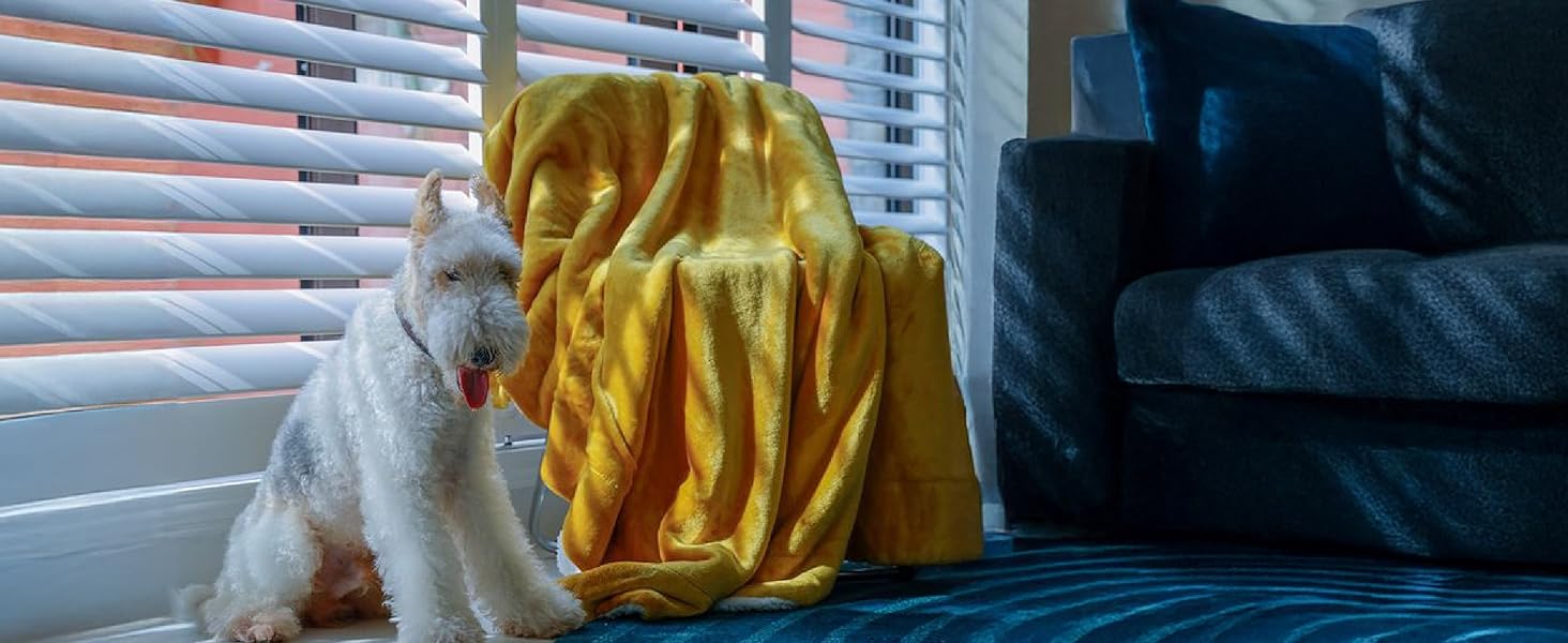 BEDSURE Плед з м'якого Sherpa, теплий вовняний плед - покривало на диван, пухнастий накид, товстий плед для дивану, подарунок для жінок, пухнастий домашній плед, сірий, 150x200 см, XL