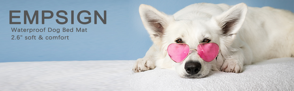 Лежанка для собак EMPSIGN, м'який килимок для перенесення, лежанка для собак знімний та пральний чохол, водонепроникна, для маленьких собак, 61x46x6.6 см, блакитна