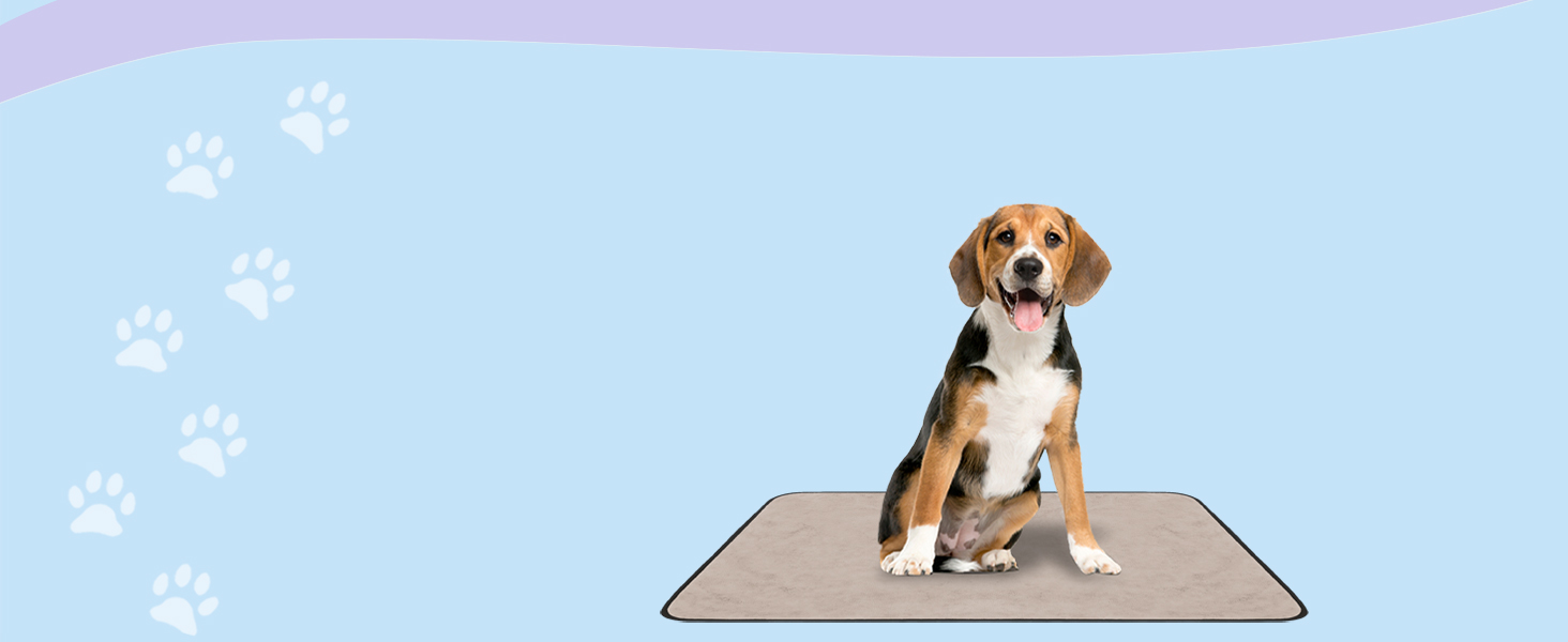 М'яка ковдра для собак Normani - килимок для тварин з безпечного матеріалу, 40x50 см, 60x80 см, 70x100 см, сірий колір