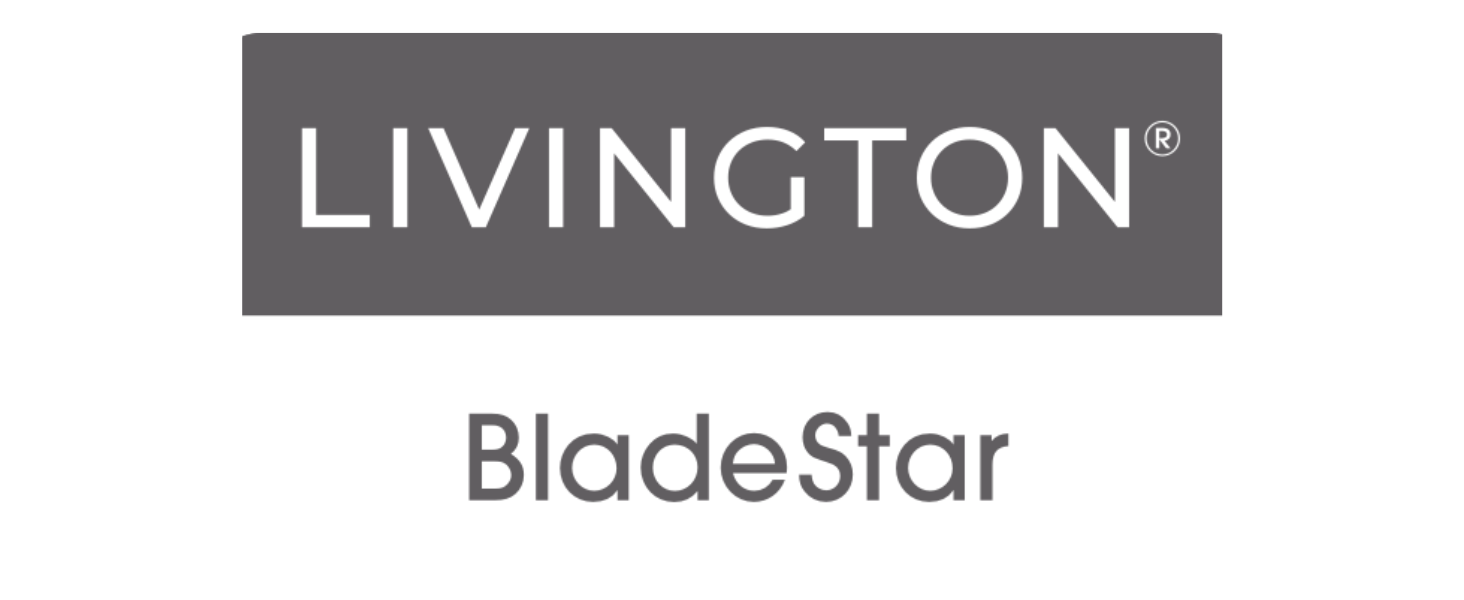 Набір Livington Blade Star - професійна точилка для ножів з регулюванням кута, ергономічна ручка, 2 шт.