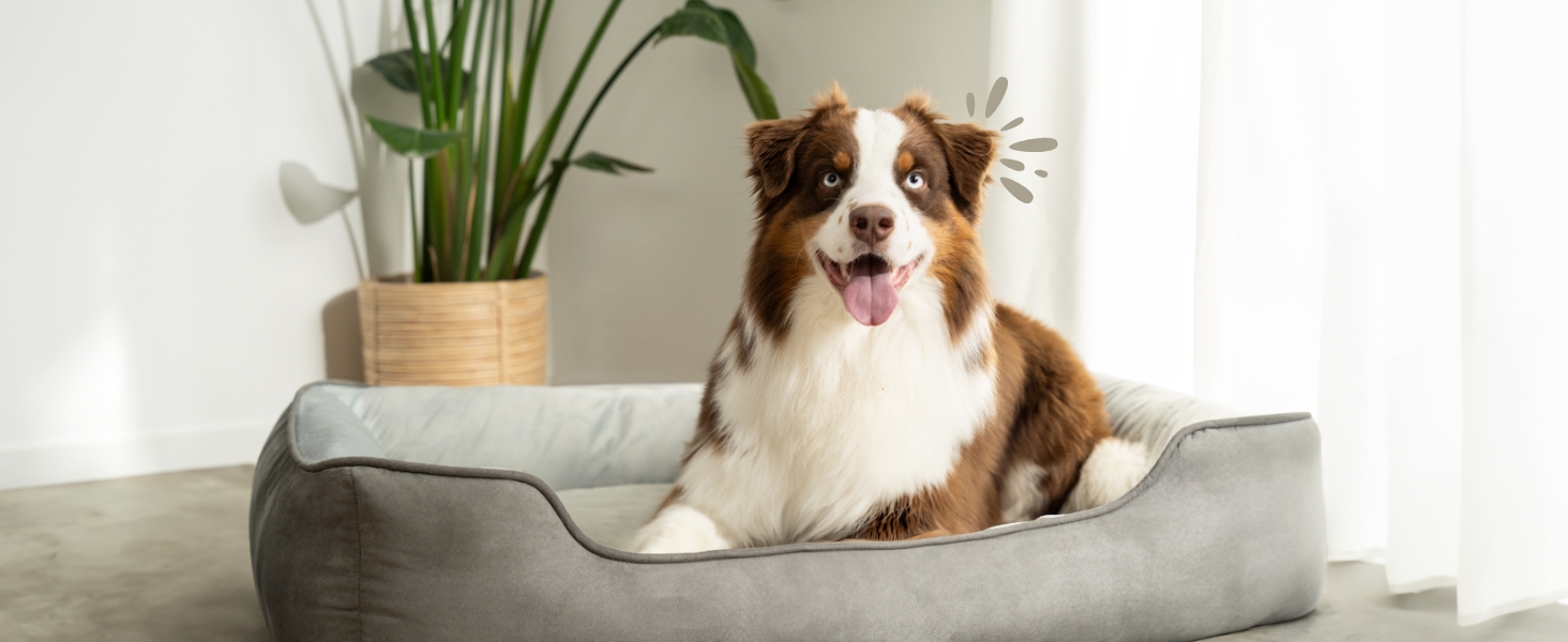 Кіжувалка Lionto для собак 2-в-1 з комфортним входом, м'яке ліжко для домашніх тварин, яке можна перевернути, для собак і котів, 80x60 см, подушка для собак з легкого у догляді штучної замші, сіра L 80 x W 60 x H 26 см Темно-сірий/Світло-сірий