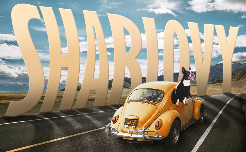 Подовжувач для заднього сидіння автомобіля SHARLOVY для собак, автомобільний чохол на сидіння для собак преміум-якості, великий автомобільний чохол з міцним дном для собак, автомобільна гамак для собак. Підходить для авто / SUV / пікапів чорного кольору