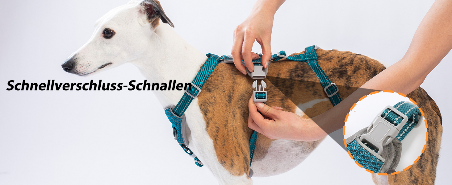 Шлейка Huntboo для собак: безпечна від виривання, антистресова, з відбиваючими елементами, регульована, легка (розмір S, блакитна)