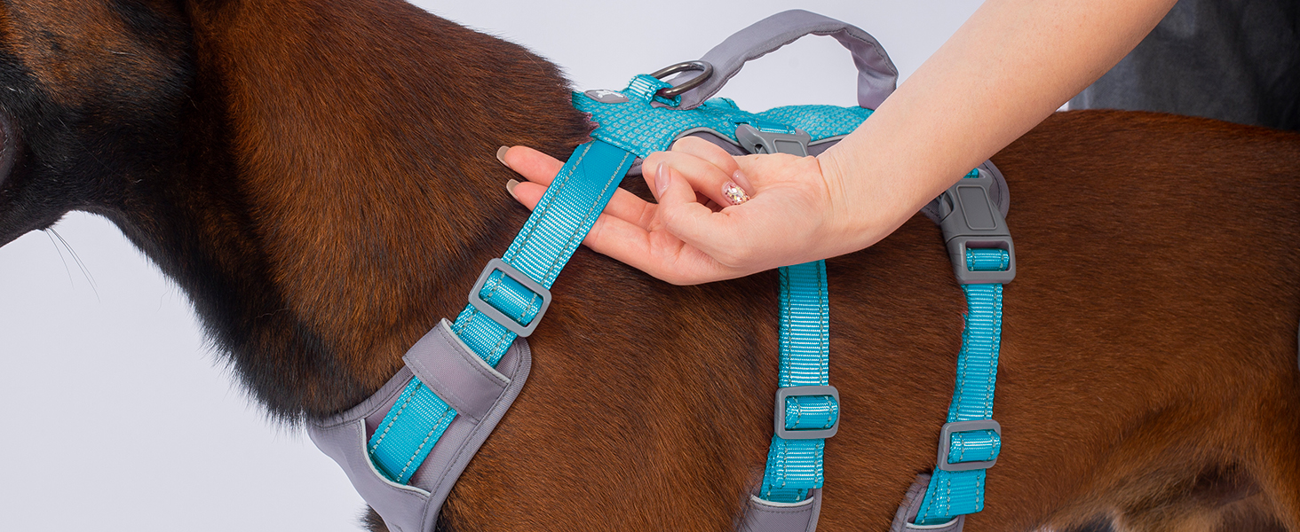 Шлейка безпеки Huntboo для собак, антизламна, від паніки, з ручкою, регульована, для малих, середніх та великих собак (M), блакитно-зелений (1 шт.)