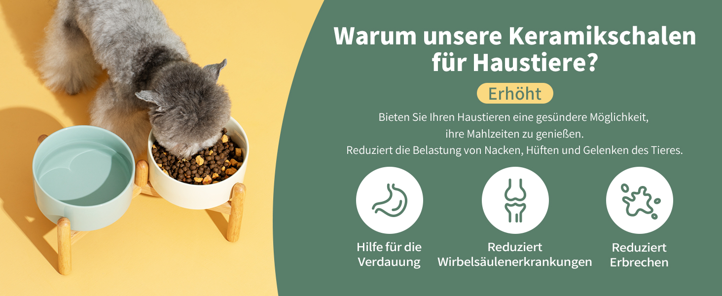 Керамічна миска для собак 21 см на підставці, великі породи, годівниця та поїлка (1 шт., світло-зелена)