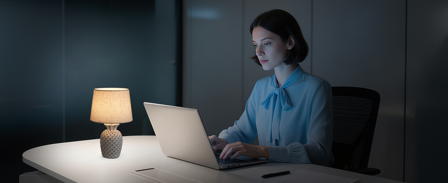 LED-лампа Egobasic на акумуляторі з пультом, таймером та регулюванням яскравості, змінне підсвічування, керамічна основа у вигляді ананаса, для спальні, кухні, вітальні