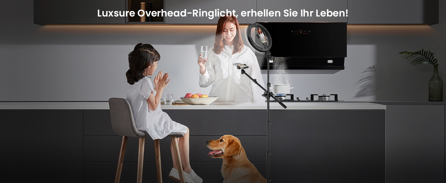 Настільний штатив з кільцевим світлом – подвійний тримач для 2 смартфонів, регульоване кільцеве світло з металевим штативом, 10.5' для коучингу/фуд-блогерів/влогів/мейк-апу/DIY