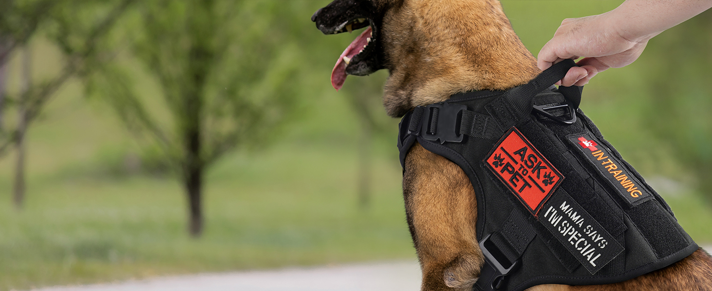 Шлейка для собак Rabbitgoo для великих собак без натягу, тактична нагрудна шлейка з MOLLE, металеві пряжки, дихаюча, військова, чорна, розмір L (1 шт.)