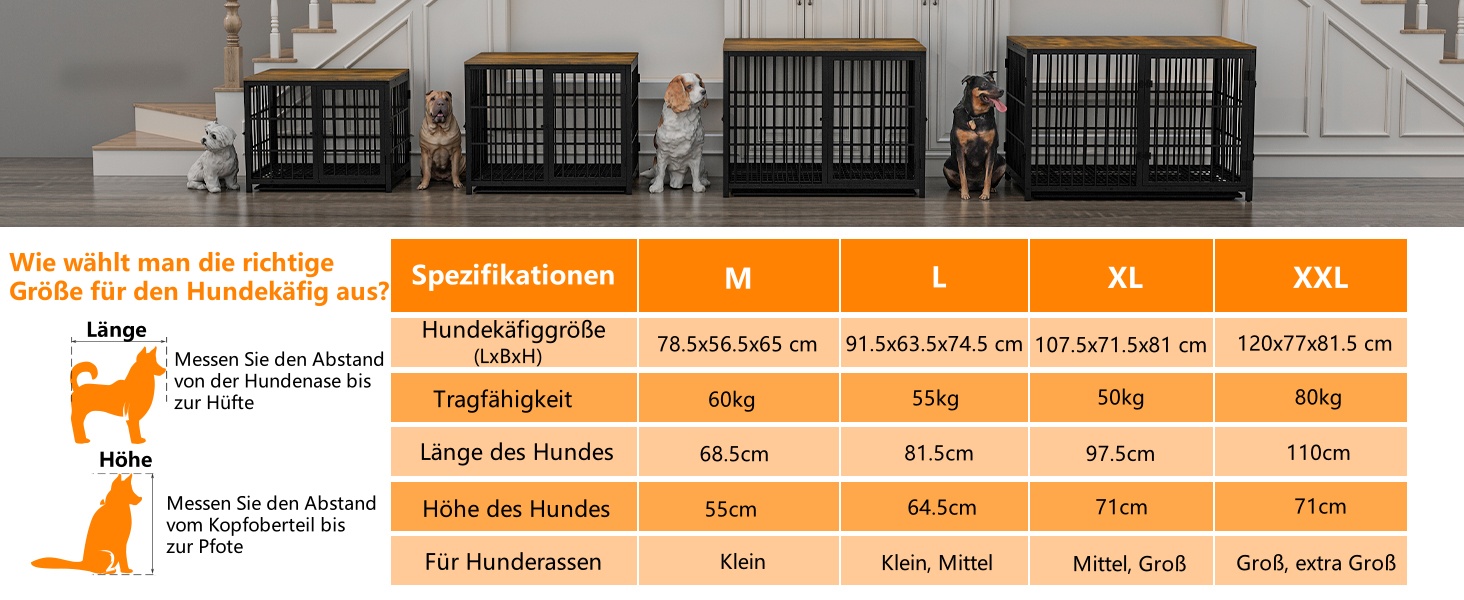 BingoPaw Клітка для собак Holz Indoor: Клітка-шафа для собак з трьома дверцятами та знімним піддоном - Будка для собак маленьких порід, цуценят, розмір M 78x56x65 см, Білий