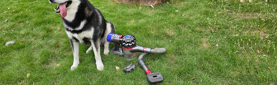 Насадка для пилососа Dyson 2-в-1 для видалення шерсті, лупи та підшерстка, сумісна з моделями V7, V8, V11, V12, Gen5 V15