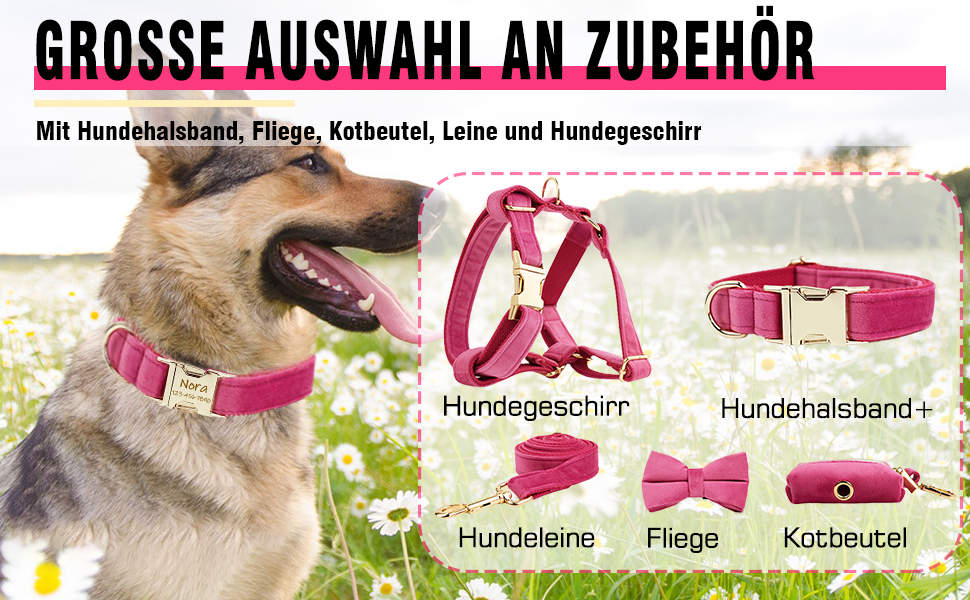 Персоналізоване собаче нашийник з металевою застібкою: напис та номер телефону. Регульовані розміри для собак середніх та великих порід.