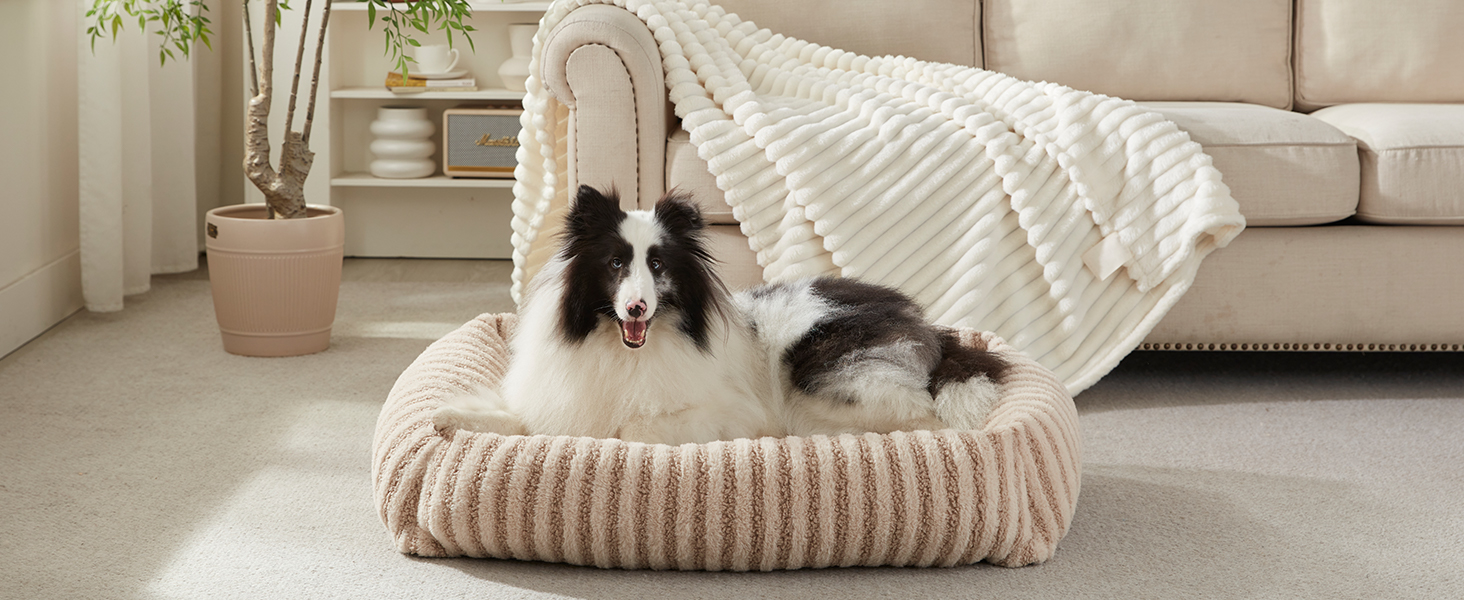 Лежанка для собак середнього розміру, сіра, 64x54x18 см, знімний, зручний, з підвищеними бортиками, з антиковзким покриттям