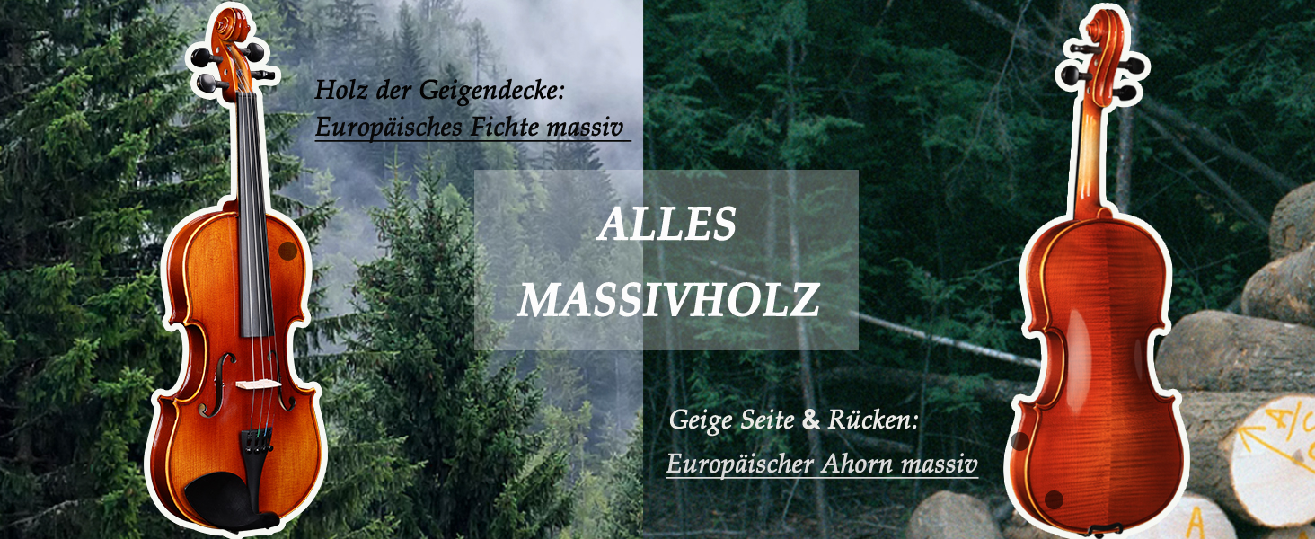 Скрипка Aileen 4/4 для дорослих та початківців, набір для дітей від 12 років, скрипка з цільної європейської сосни з підставкою для нот