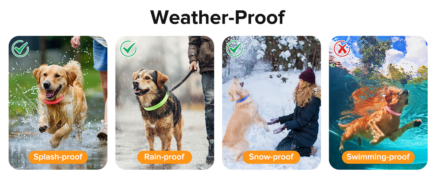 Світлодіодна нашийникова стрічка для собак, акумуляторна, 3 режими світіння, водонепроникна, зелена, L (48-60 см)