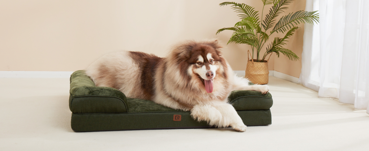Ортопедичне ліжко для собак EHEYCIGA, 89x56 см, Memory Foam, для собак середніх та маленьких порід, вологостійке, з високим бортиком, темно-зелене