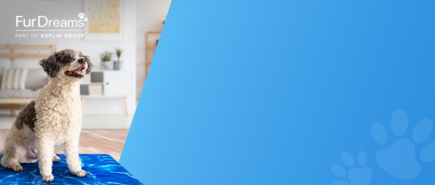 Висувна поводок для собак FurDreams – міцний, 5-метровий поводок з надійним затискачем | Нековзний ручка з контролем блокування | Міцний нейлоновий поводок, що не заплутується & гачок для нашийника (Чорний, Великий) Чорний Великий