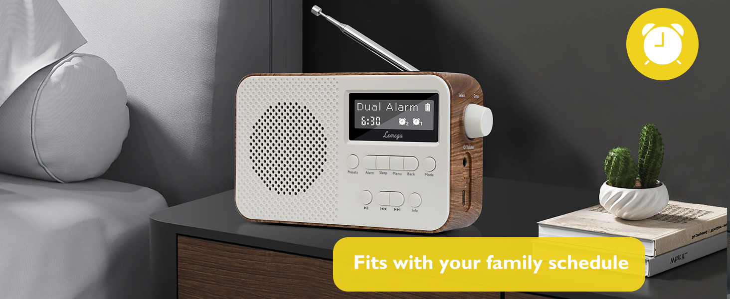 Портативне цифрове радіо LEMEGA PR2-Max DAB+/FM, Bluetooth 5.3, на батарейках AA, колір горіх