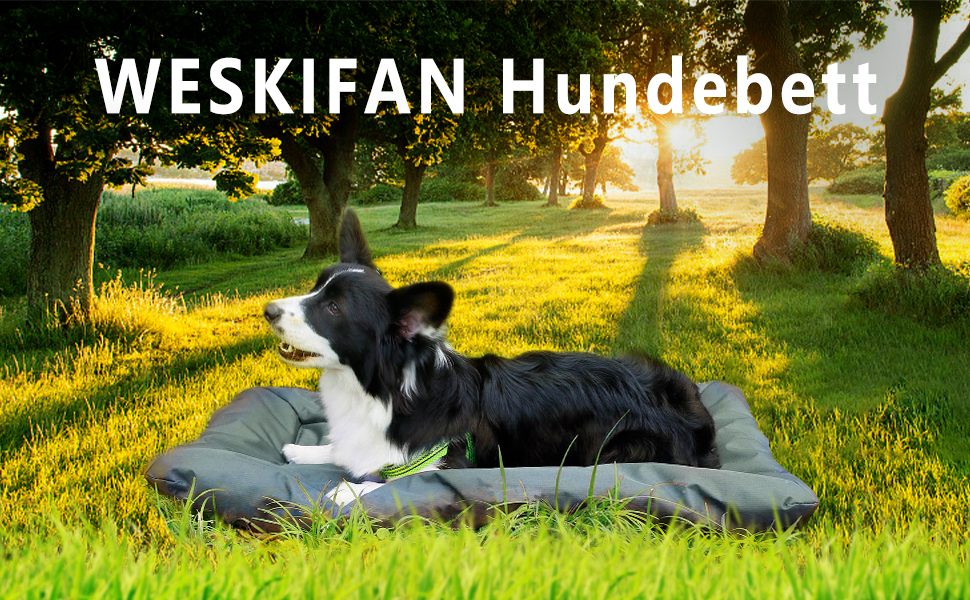 Килимок для собак та котів WESKIFAN: водонепроникний, портативний, 58 x 86 см, сірий