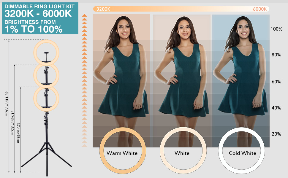 LED кільцева лампа CXYP 18 дюймів зі штативом, диммер, пульт дистанційного керування, для YouTube, TikTok, фото/відео, селфі, макіяж, Live-Stream, сумісна зі смартфонами