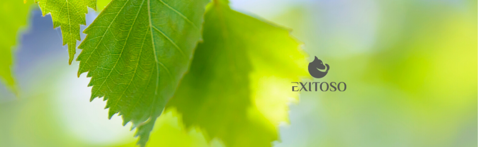 Силіконова щітка для туалету з контейнером - довга ручка, гнучкі щетинки, набір для ванної кімнати, сіра - преміум якість