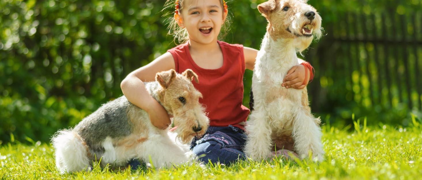 Ліжко для собак з балдахіном, лежанка для тварин Outdoor 2 в 1, софа для собак, піднята лежанка для котів та собак великих та маленьких порід, 122x92x102 см