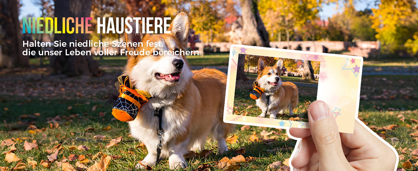 Портативний міні-принтер Nelko PP01 для фотографій з телефону (iOS & Android), 20 папірців, наклейки, білий