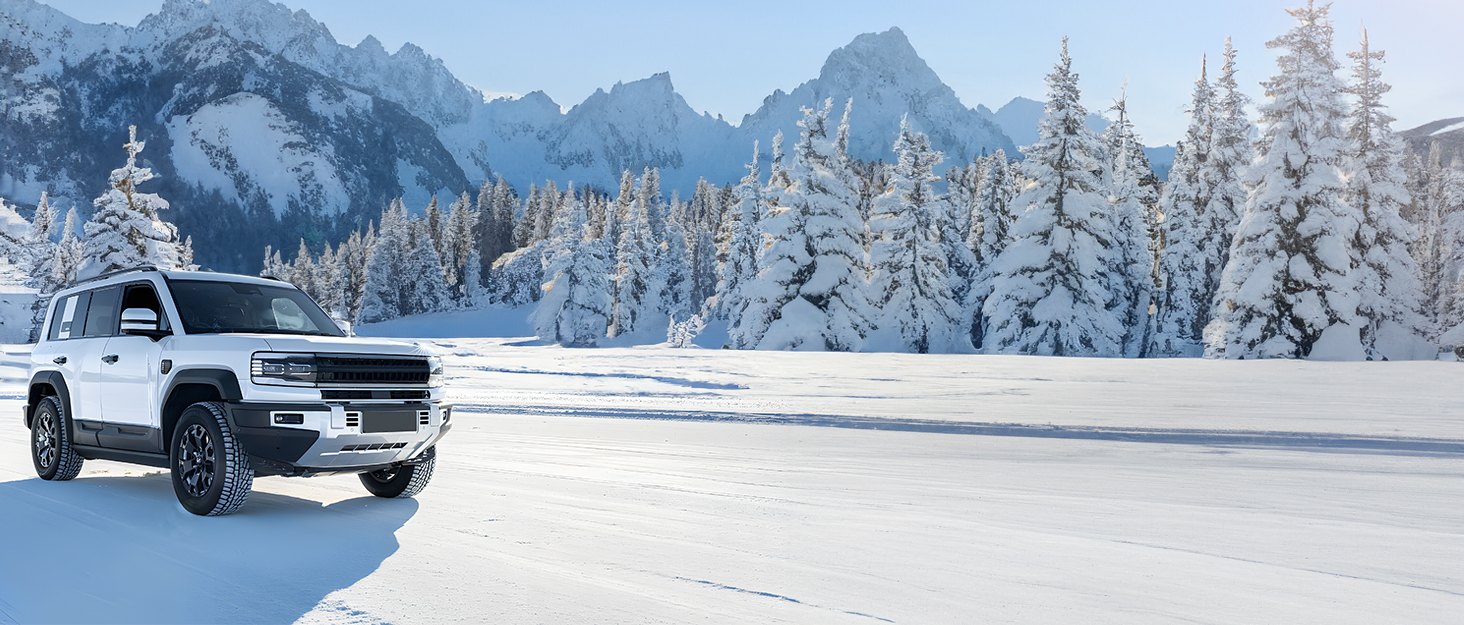 Powerbank для авто 12V Starthilfe 3000A: пусковий пристрій з LED, для бензину/дизеля (10/8L), сірий