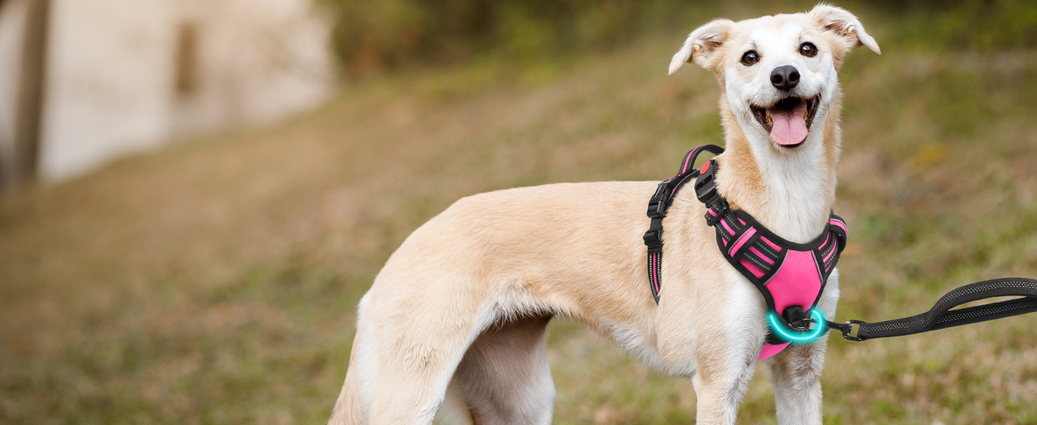 Нашийник для собак Rabbitgoo, великі породи, регульований, без натягування, з ручкою, анти-тяга, м'яка підкладка, світловідбиваючий, розмір L (XL), рожевий