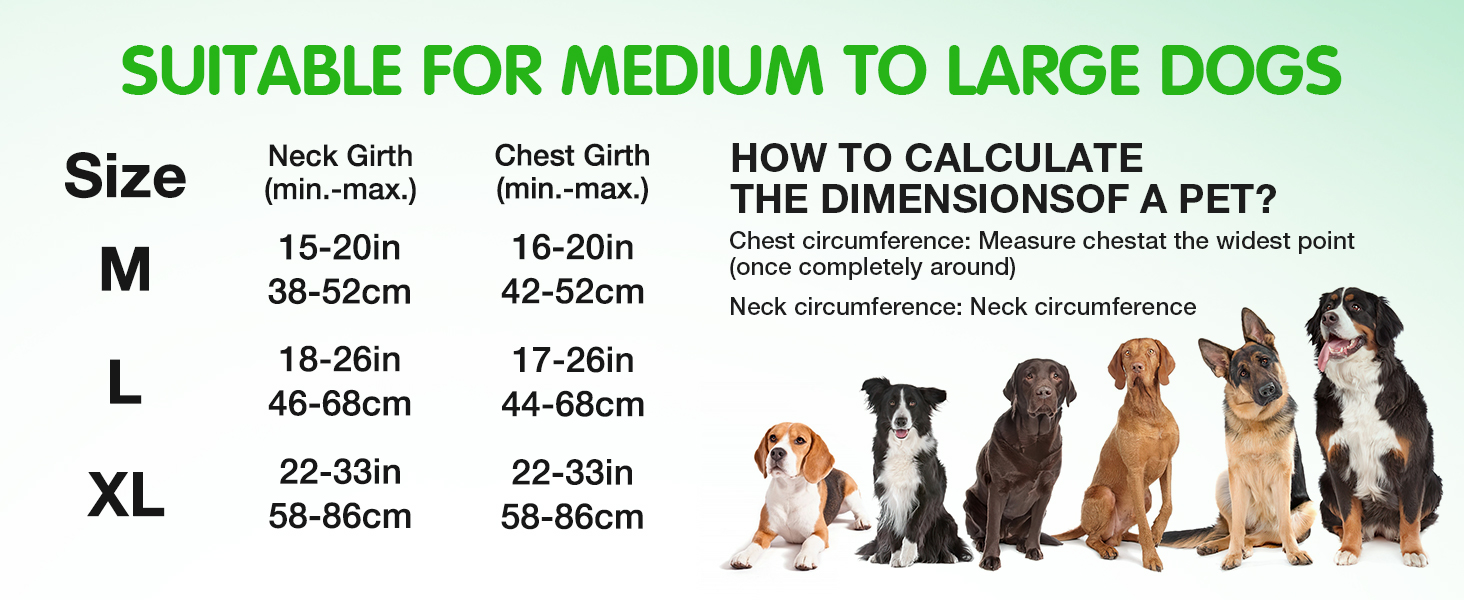 Світловідбиваючий нашийник для собак Jewyow з LED, перезаряджуваний, водонепроникний, 3 режими, зелений, розмір M
