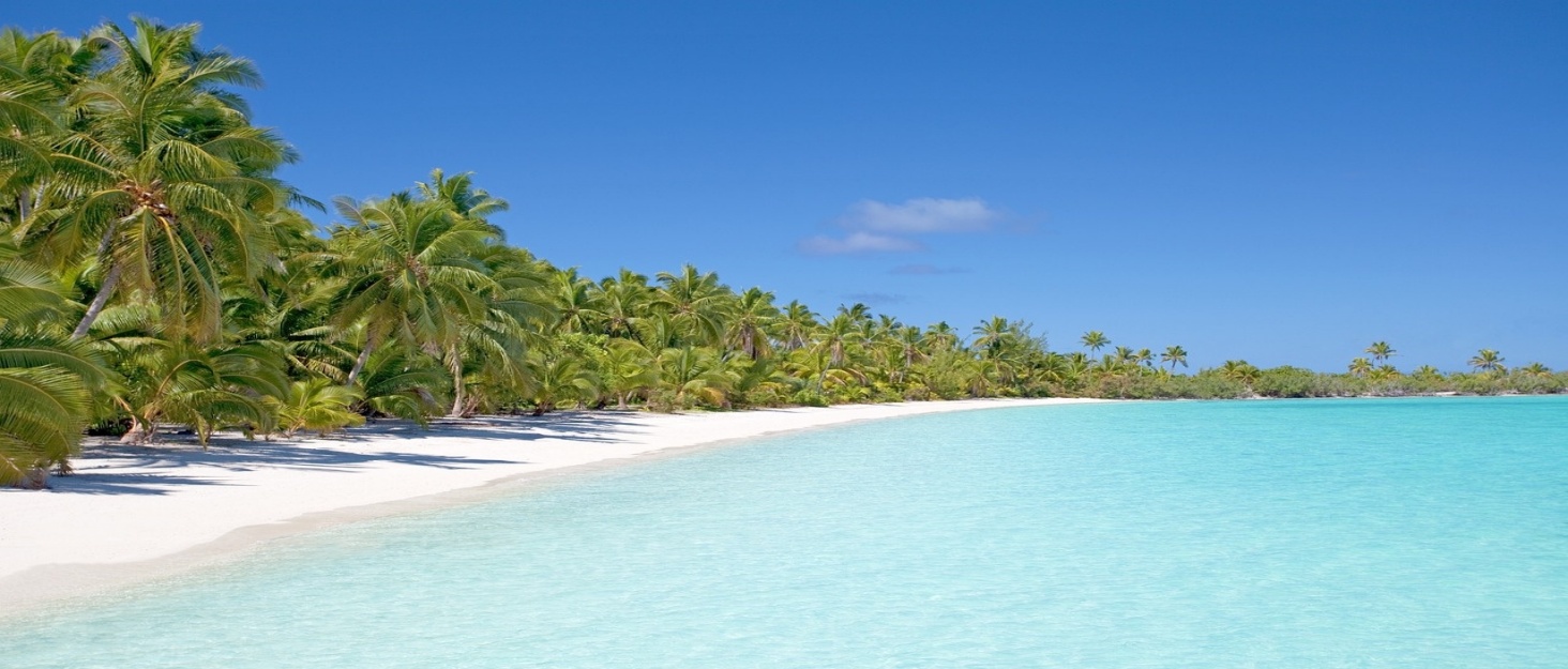 Ізольований холодильник на колесах 48 літрів для пікніка, кемпінгу, риболовлі, пляжу - сірий/чорний