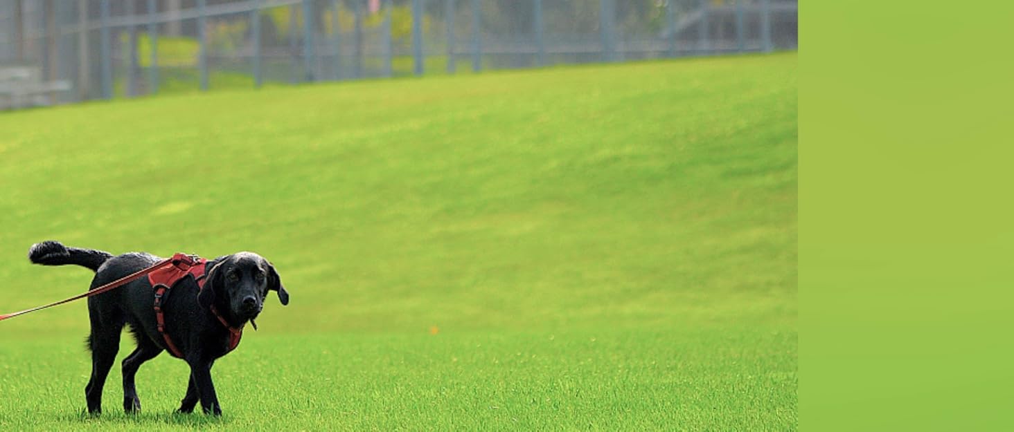 Настінні полиці для келихів MOCOBO (4 шт.), чорні, 30 см - органайзер для кухні