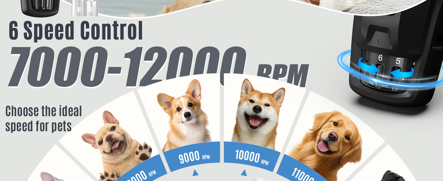 Електричний шліфувальник для собак та котів Casfuy Neue 6-Gang – тиха робота, 2 LED, 7 годин роботи, для собак великих, середніх та малих порід, чорний